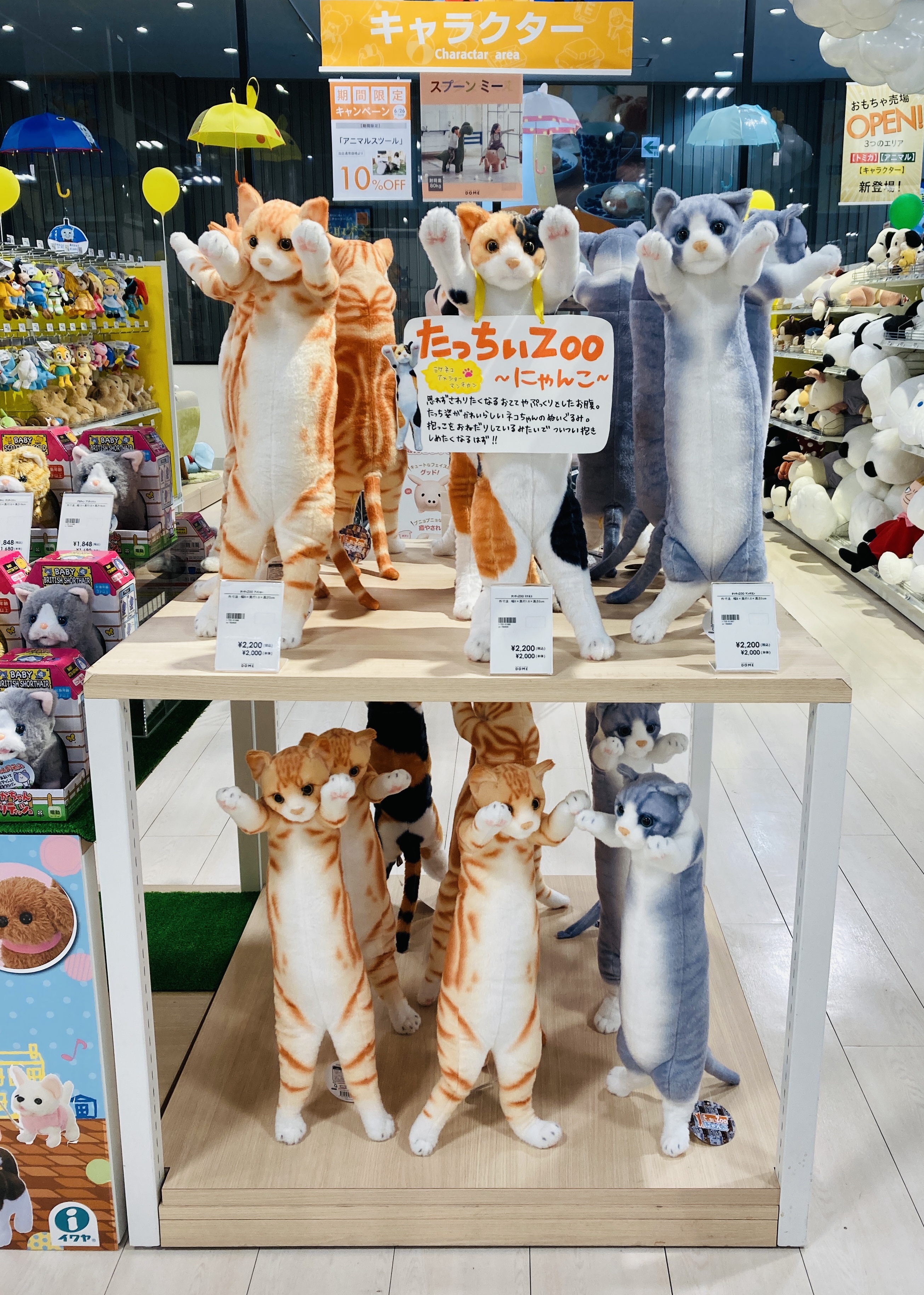 たっちぃzooにゃんこまとめ