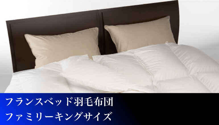 再再販 Tvilbidvirk6フランスベッド正規品 羽毛布団 ホワイト シングル