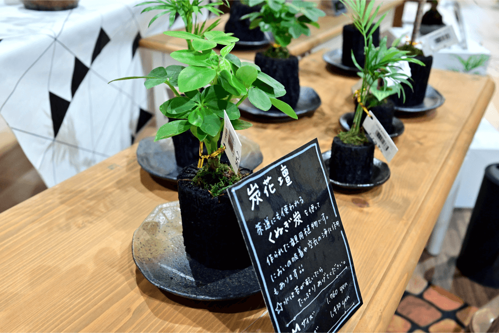 New 岡崎店限定 インテリアグリーン売場 注目の炭鉢 観葉植物など 家具 インテリアのファニチャードーム New 岡崎店限定 インテリアグリーン売場 注目の炭鉢 観葉植物など 家具 インテリアのファニチャードーム