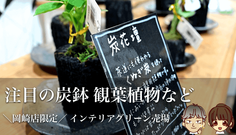 New 岡崎店限定 インテリアグリーン売場 注目の炭鉢 観葉植物など 家具 インテリアのファニチャードーム