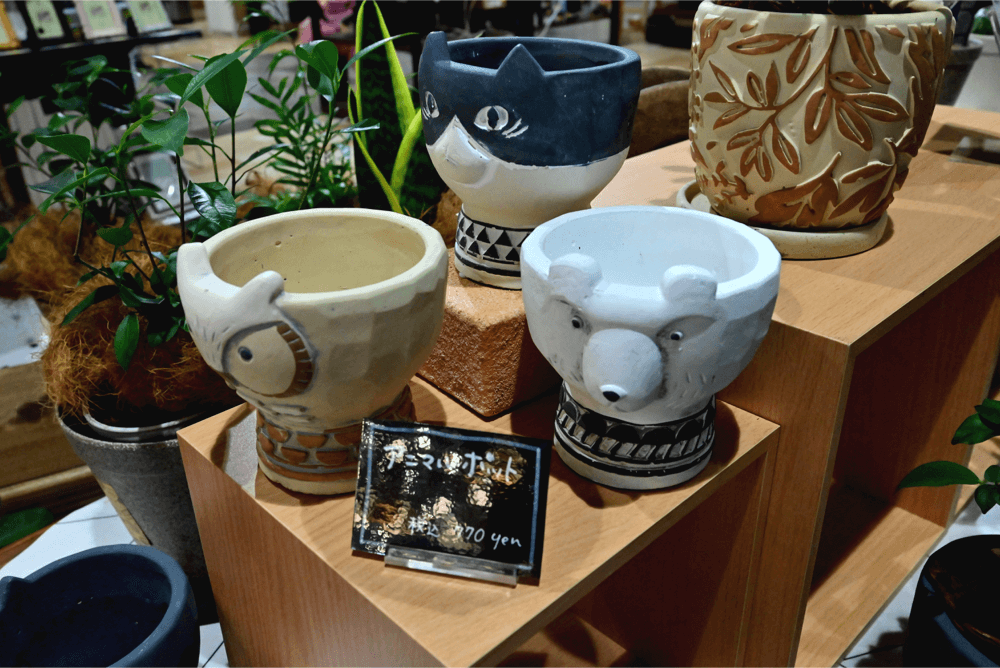 インテリアグリーン岡崎店売場