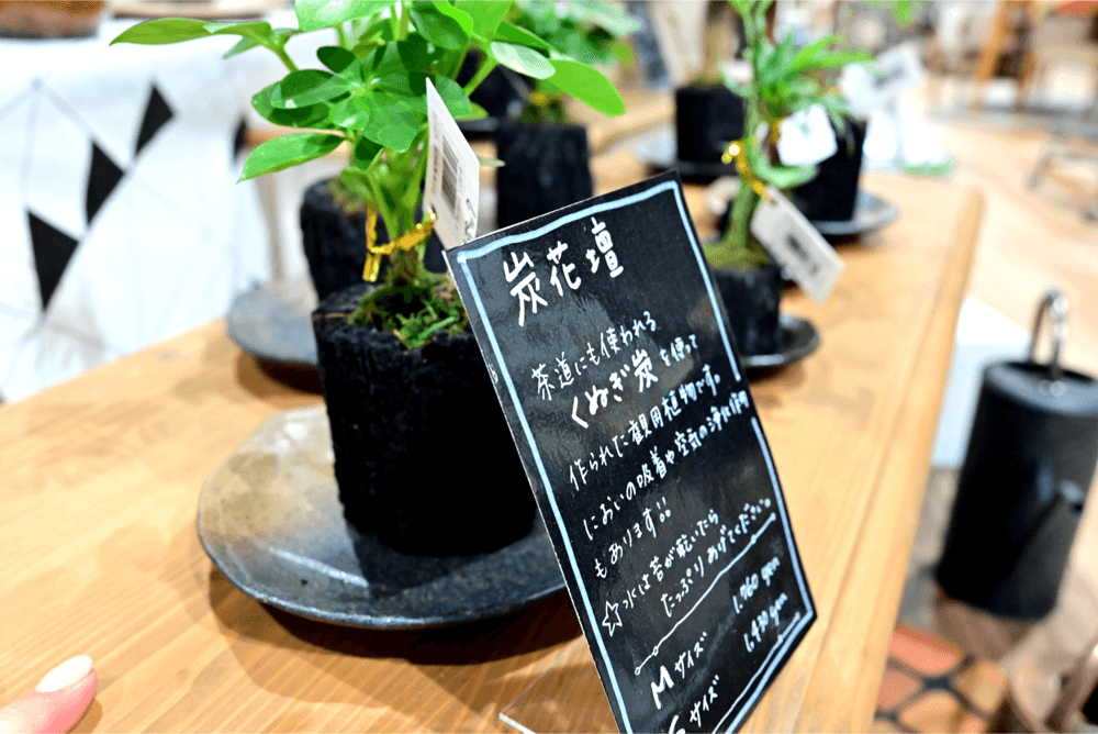 インテリアグリーン岡崎店売場