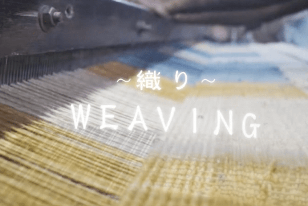 インドギャベ
