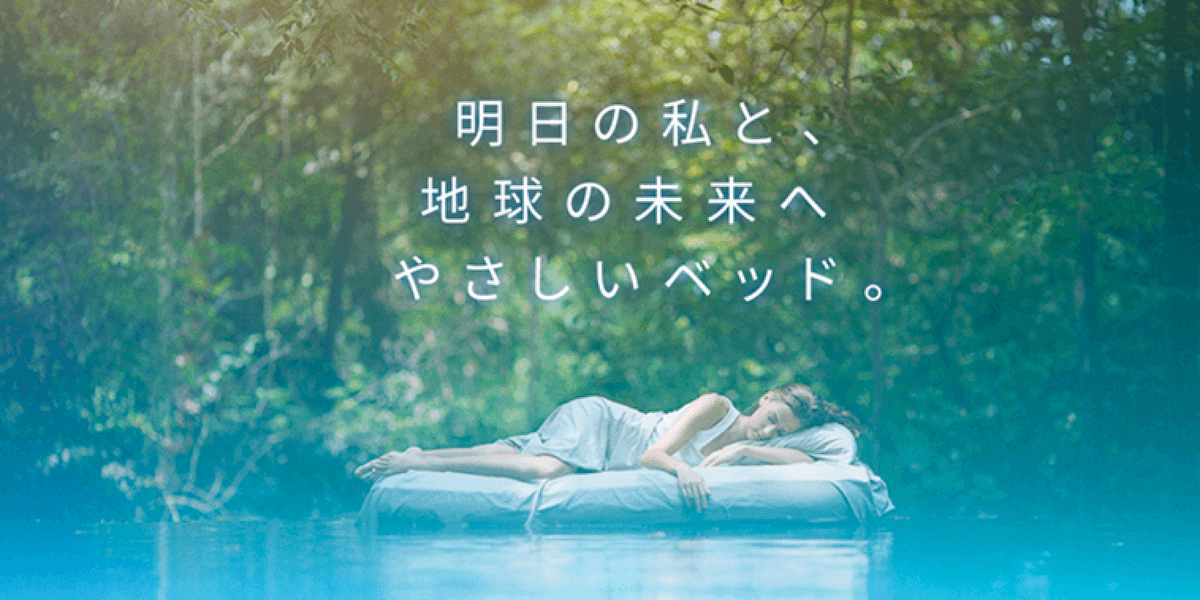 ASLEEP ファインレボ　イメージ