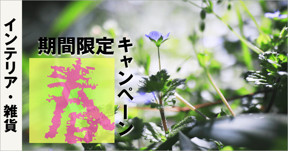 期間限定キャンペーン【インテリア・雑貨】2023.3.4 ➡︎ 2023.4.16