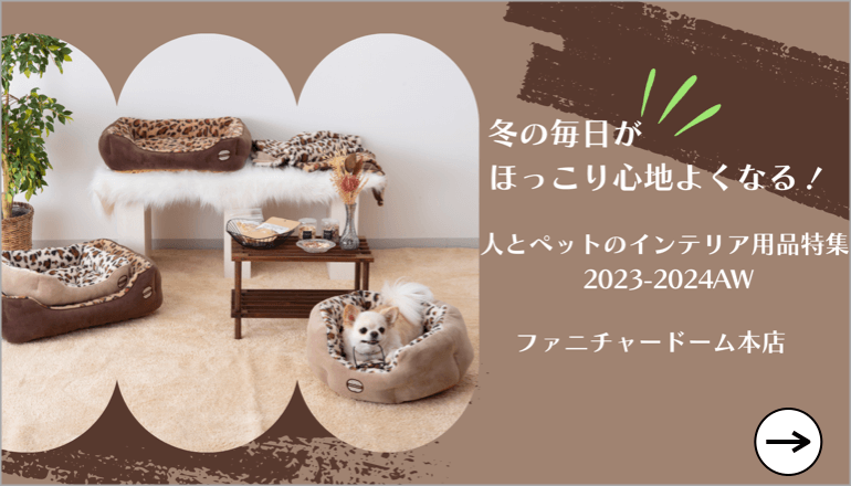 人とペットのアイテムコレクション