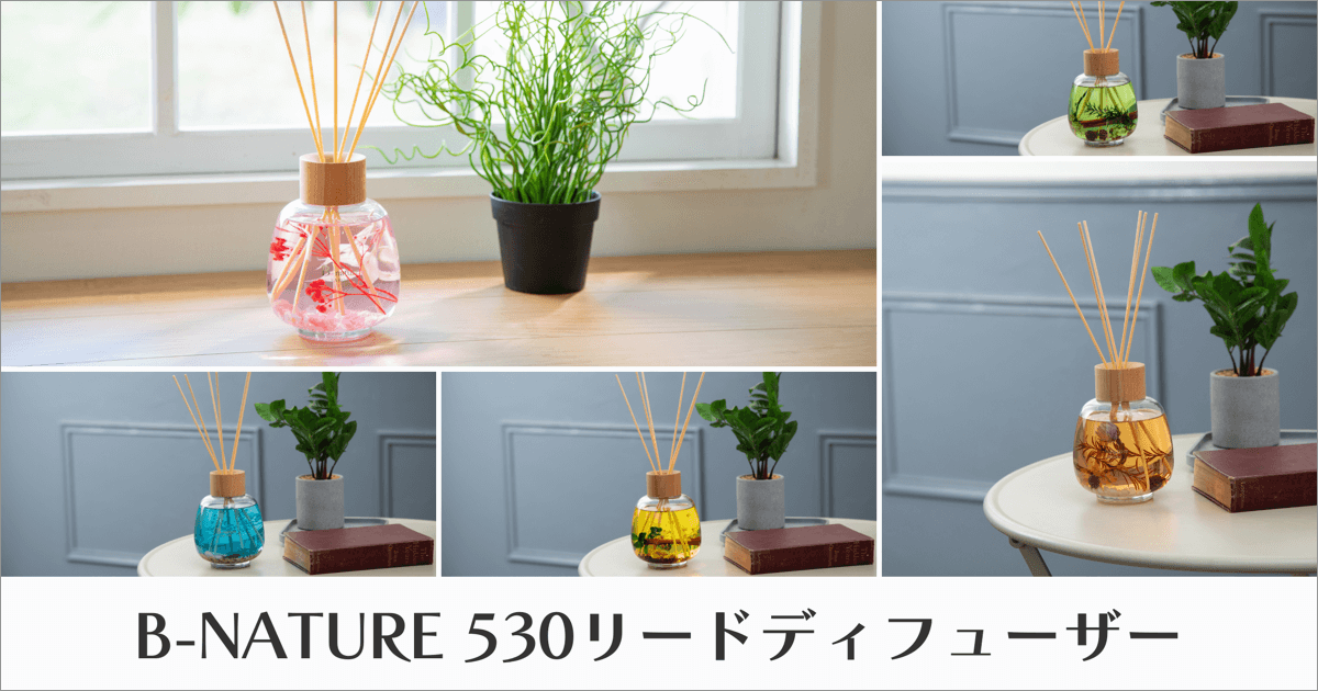 B-NATURE 530リードディフューザー