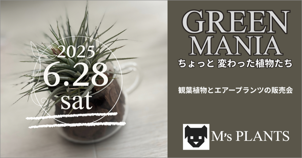 GREEN MANIA グリーンマニア | 観葉植物とエアープランツ の1日限定の販売会