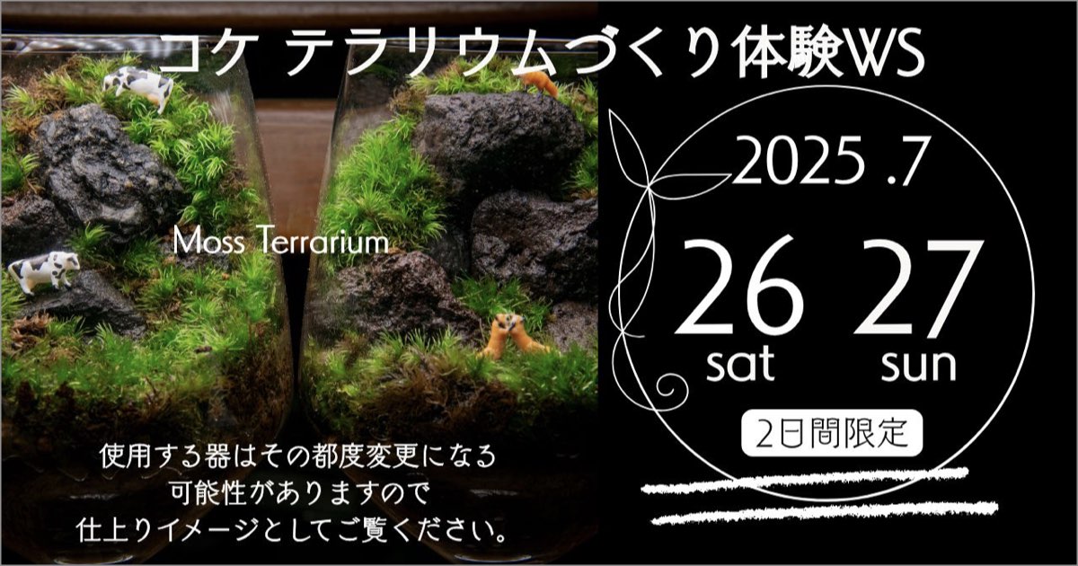 “オリジナルの癒しテラリウムを作る！” コケテラリウム体験WS 2025.7.26(sat)  7.27(sun)【本店限定】