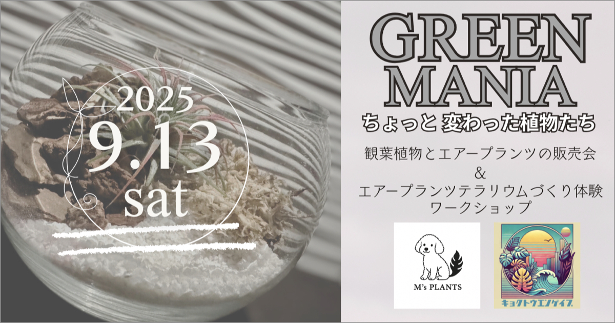 観葉植物とエアープランツの販売会とワークショップのご案内 2025.9.13(sat)