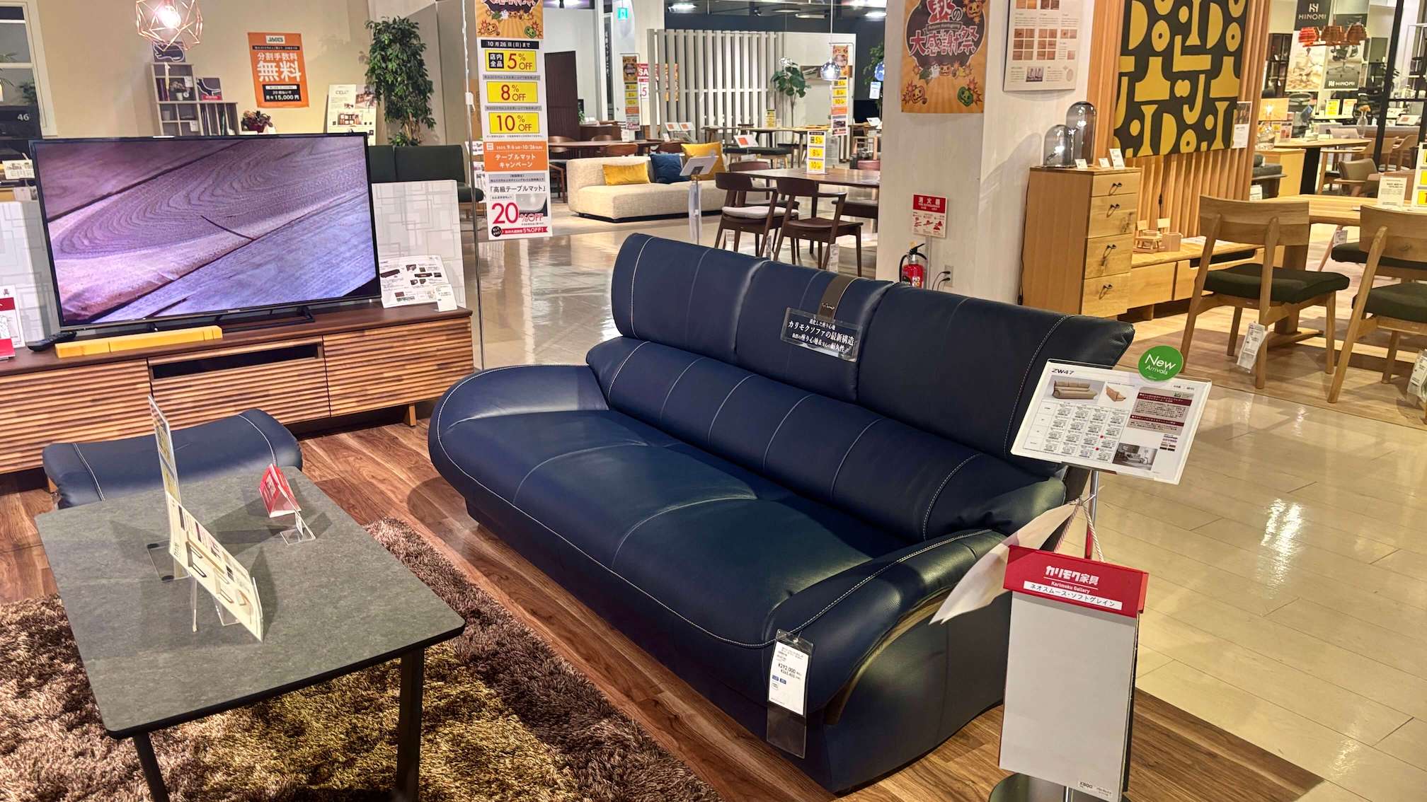 ファニチャードーム カリモク家具