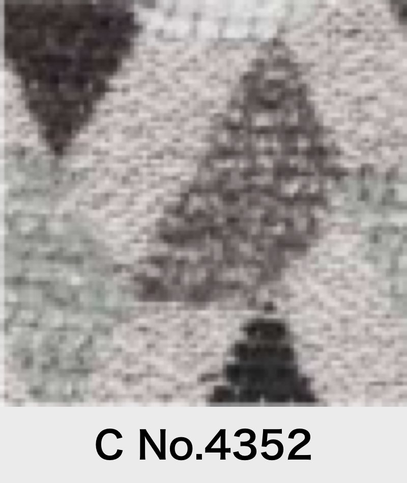 エスティック SPIGA ファブリック