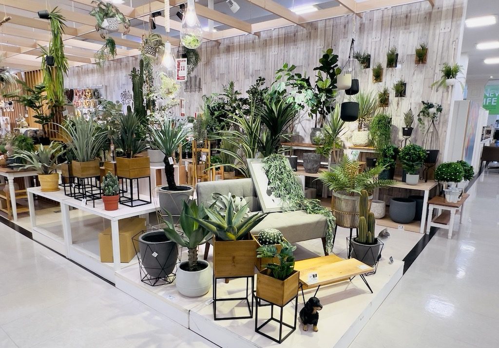 ファニチャードーム 本店 1階 グリーン&フラワー