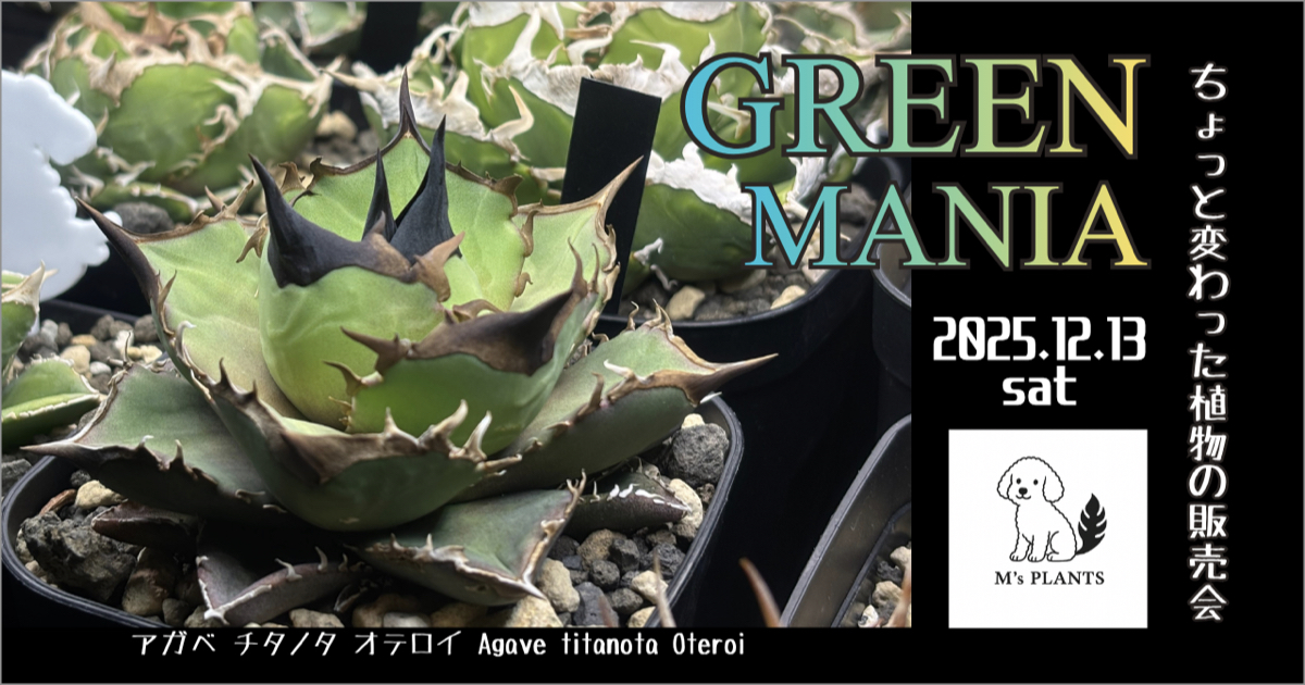 グリーンマニア集まれ！ ちょっと変わった植物たちの販売会 M’s PLANTS