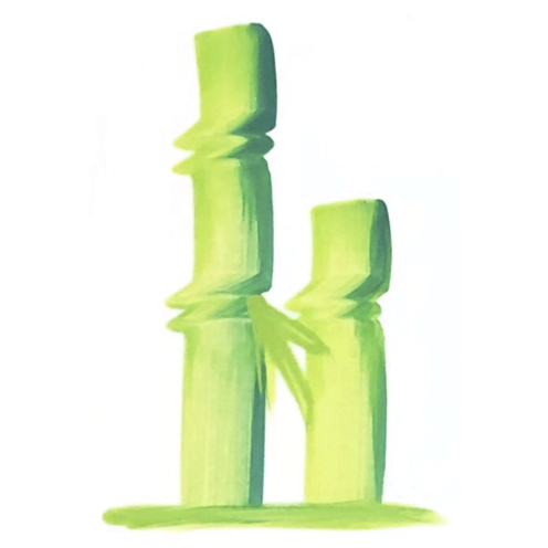 ファニチャードーム 花文字作品