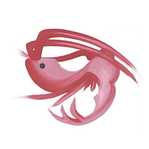 ファニチャードーム 花文字作品