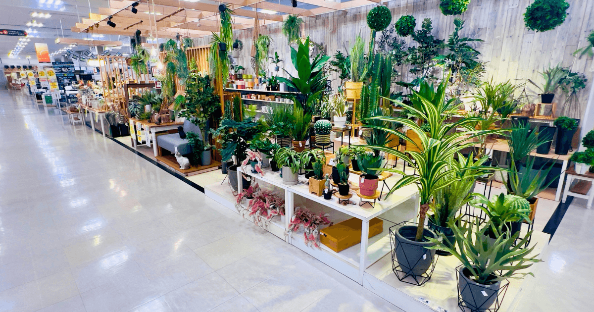 ファニチャードーム グリーン＆フラワー