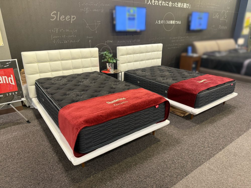 フランスベッド　スランバーランド　ベッド