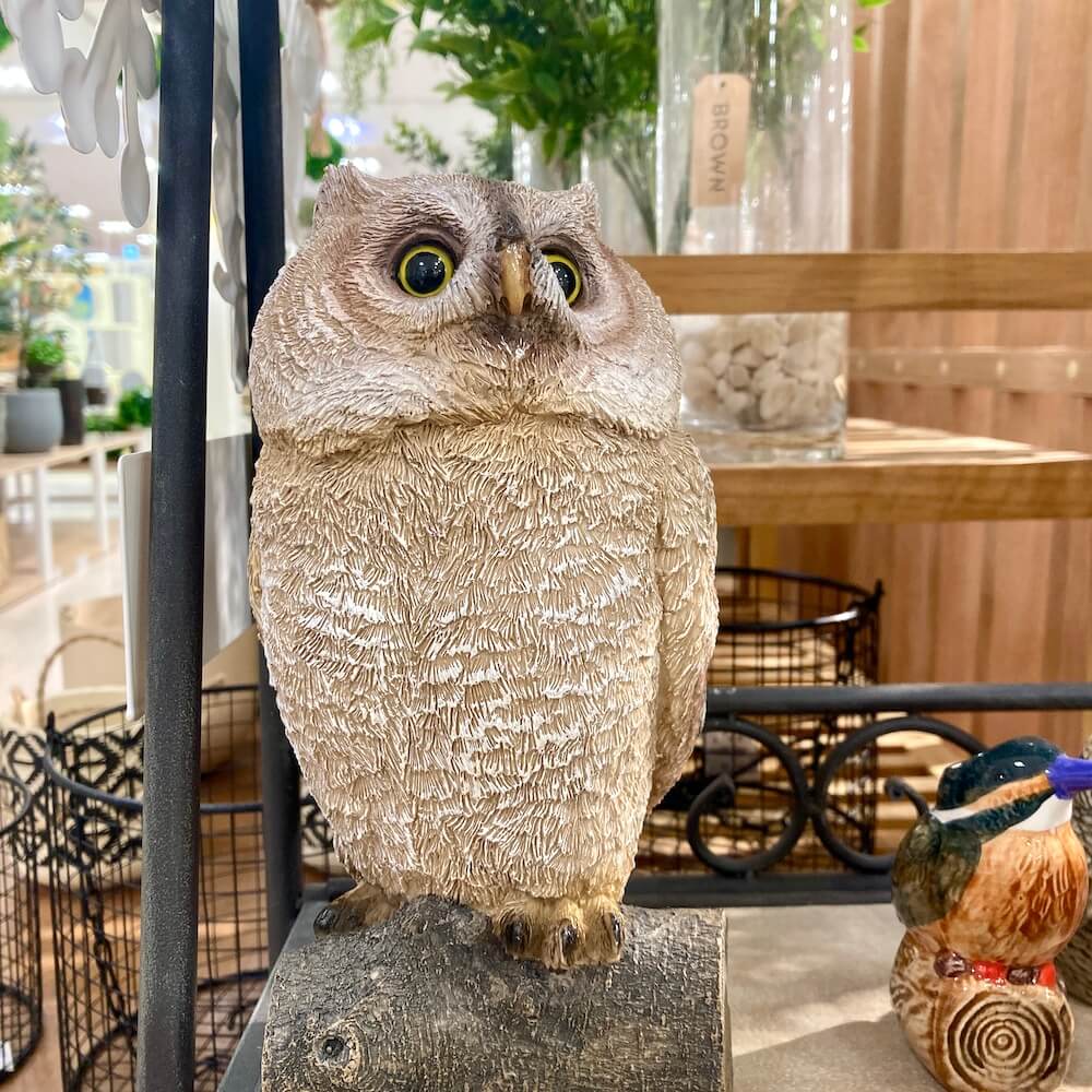 ブレイク ブランチオウル