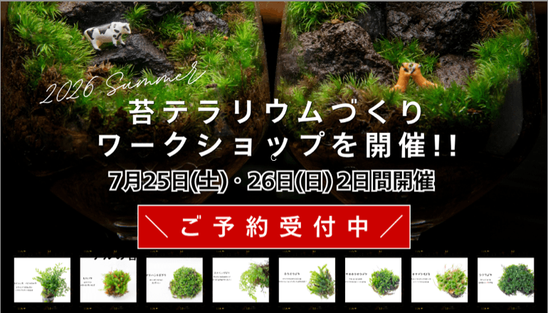 苔テラリウムTOPバナー