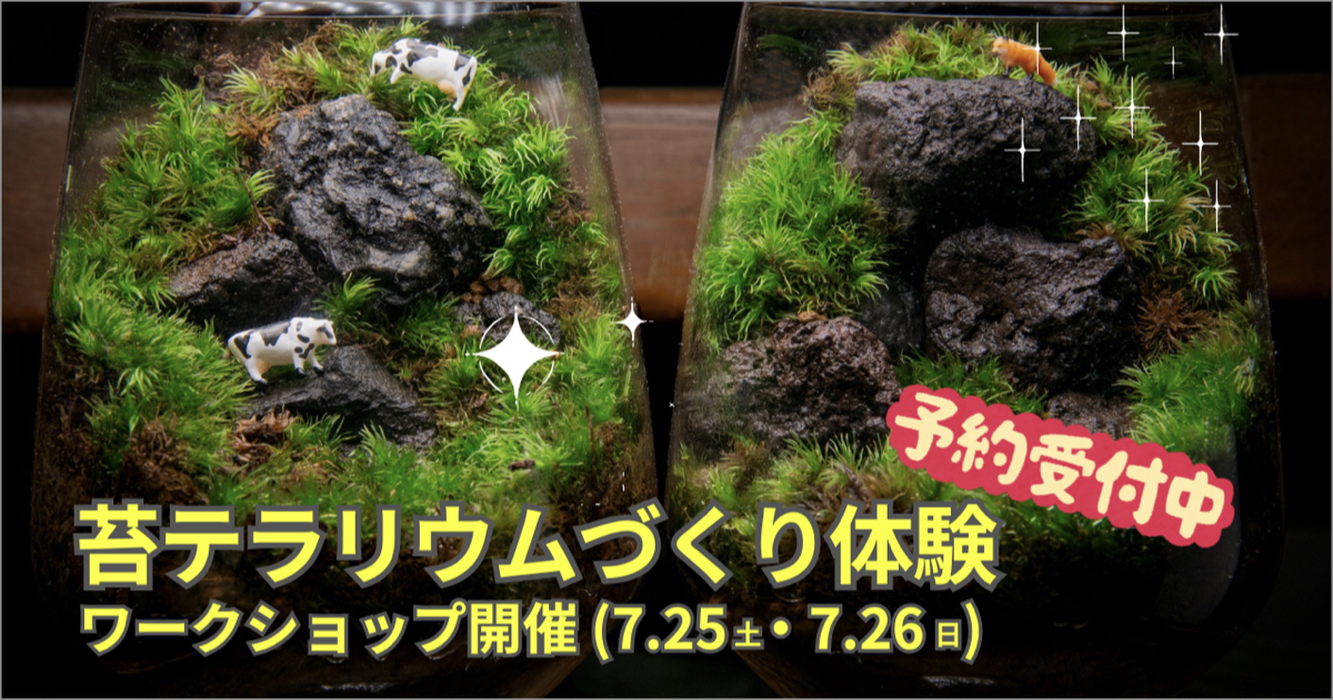 オリジナルの癒しテラリウムを作る！” 苔テラリウムづくり体験ワーク