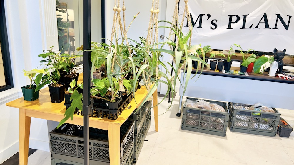 ファニチャードーム 植物の販売会 M' PLANTS