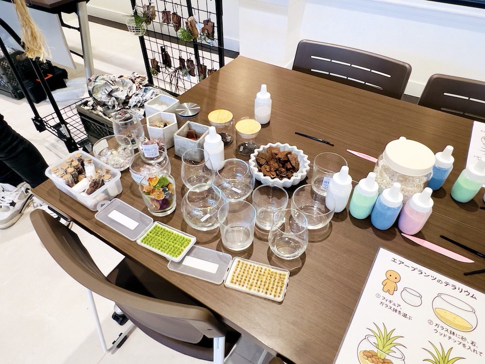 ファニチャードーム 植物の販売会 M' PLANTS