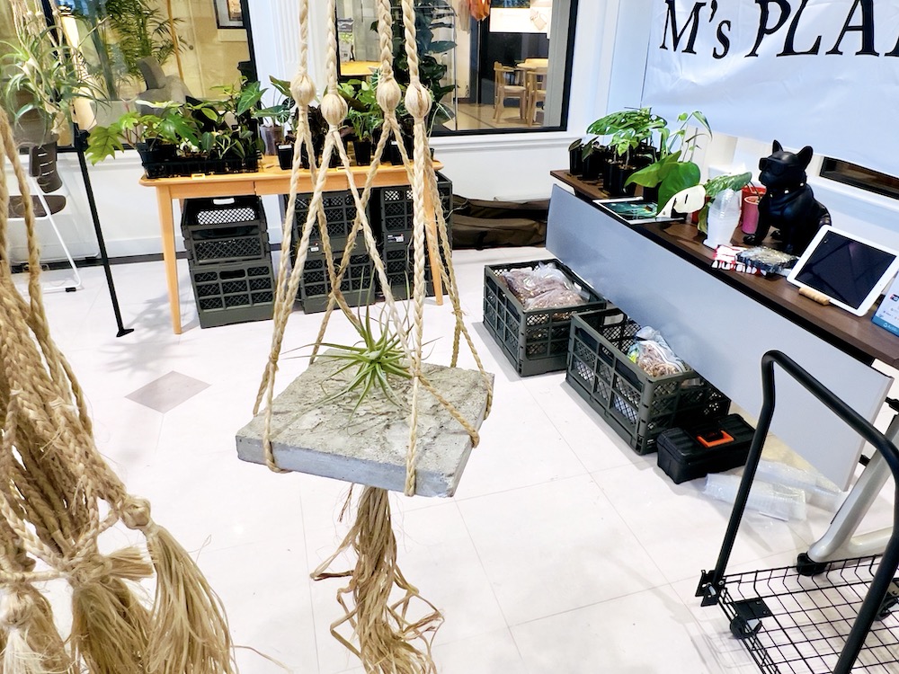 ファニチャードーム 植物の販売会 M' PLANTS